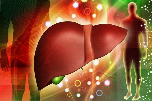 [Наталья Хаустова] [natahaus] Схема поддержки 2 фа_0.png